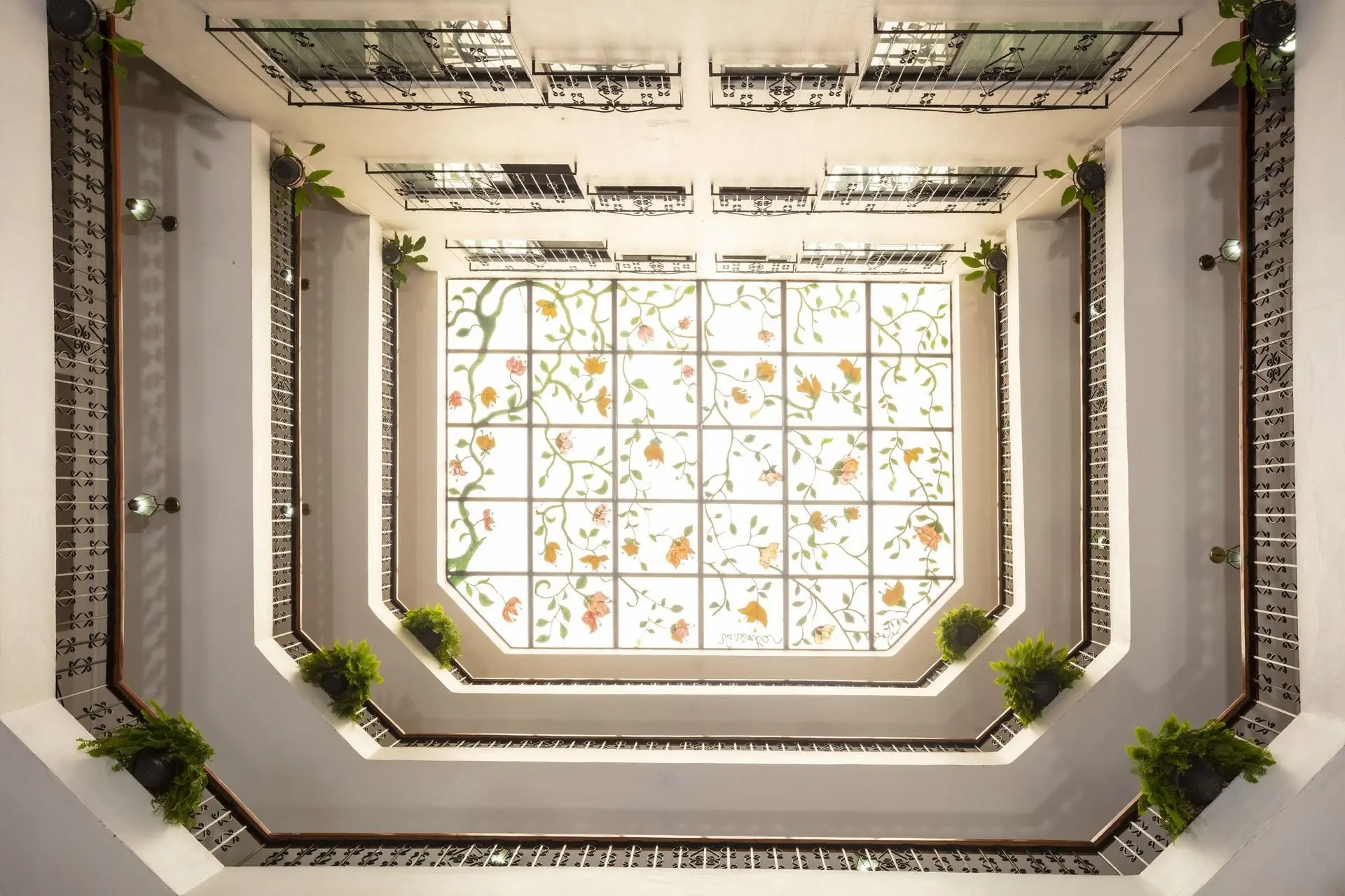 Vista Express Morelia 2